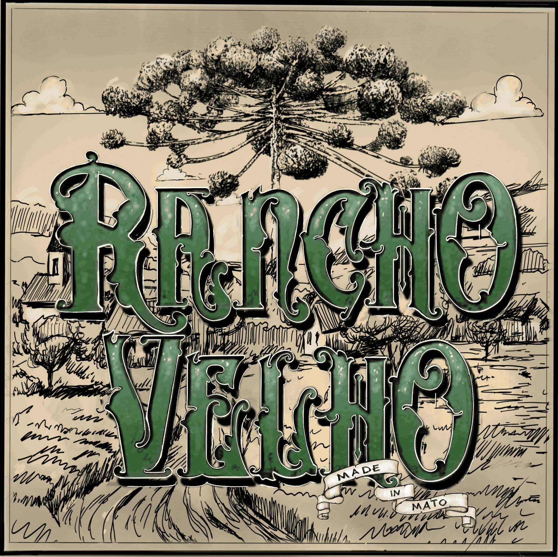 Banda Rancho Velho